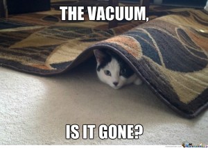 no-anything-but-the-vacuum-joke_o_1635849